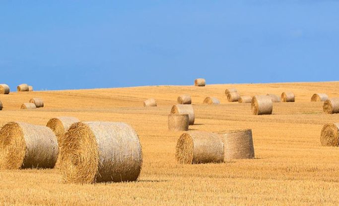 Harvest Hay Bales - Donate to Bournemouth Foodbank